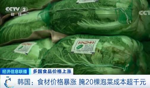 “涨”声一片！韩国腌20棵泡菜成本近2000元？
